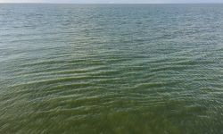 toxic blooms in lake erie
