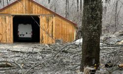 Downed limbs at a maple syrup farm