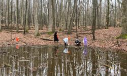 A group of people explore the edges of a vernal pool